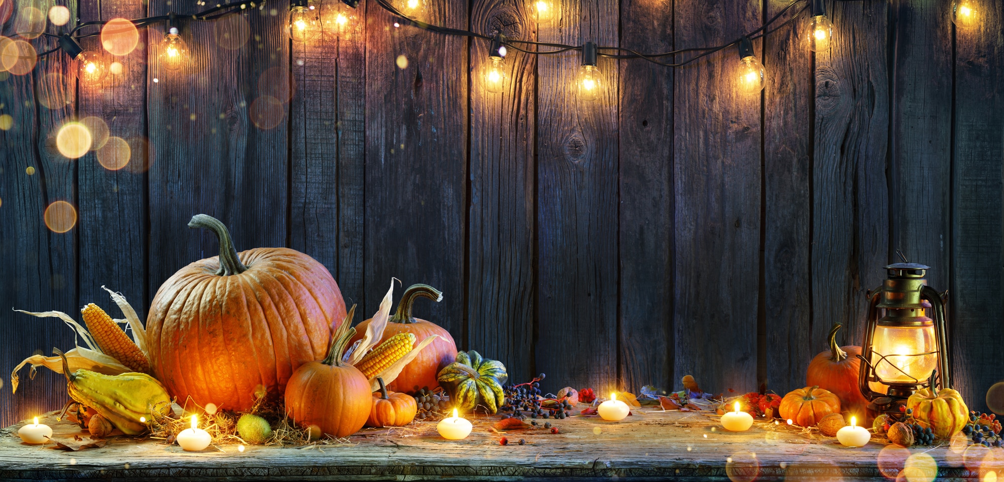 pretty autumn lights and pumpins