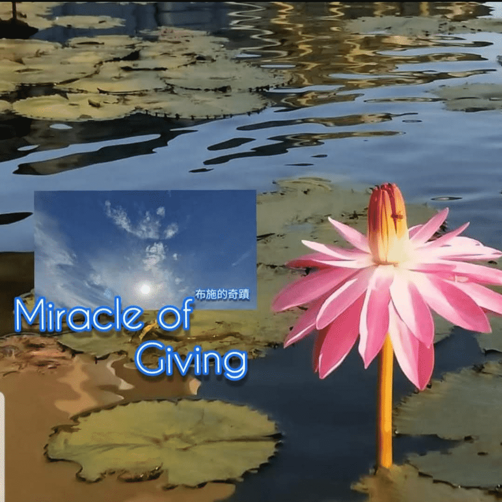 Miracle of giving