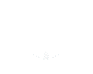 patagonia logo medium