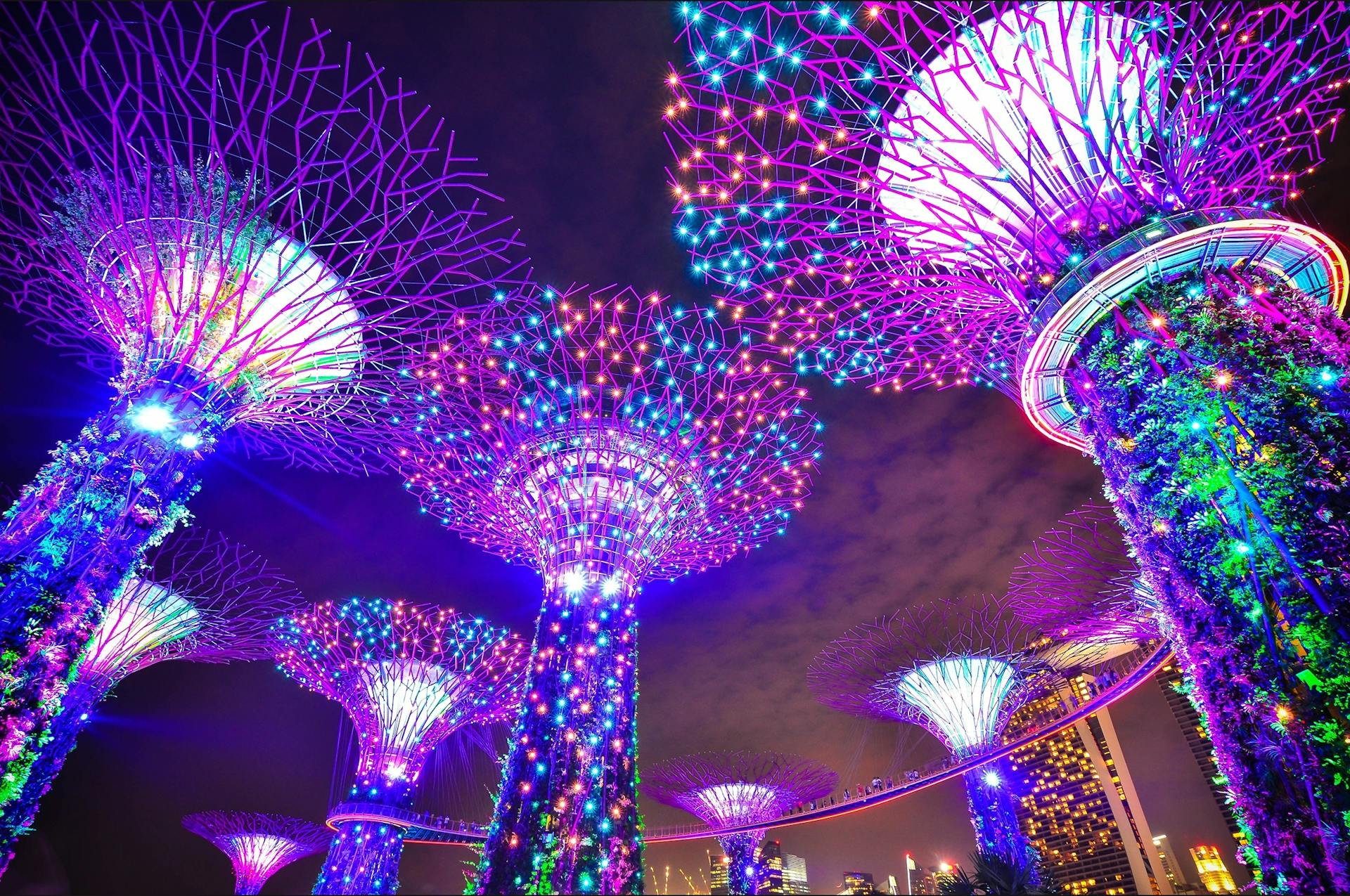 Singapore's solar trees glowing in neon colors at night.