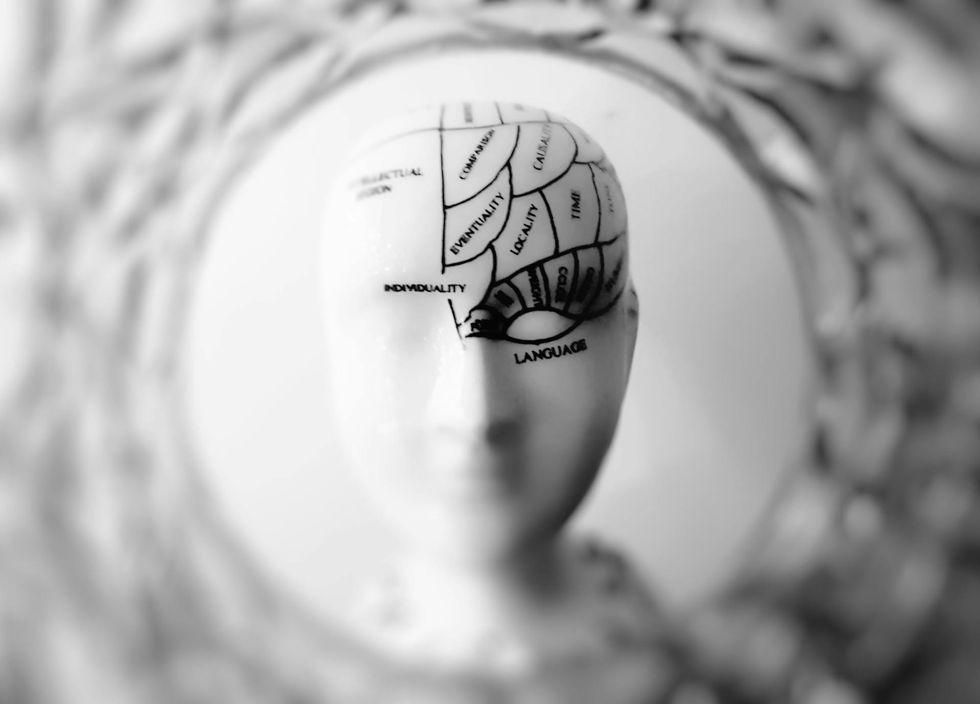 A porcelain doll head with one side of the head segmented with paint. Words describing the brains centers like "language" and "reasoning" are written in each segment.